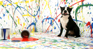 a dog surrounded by paint